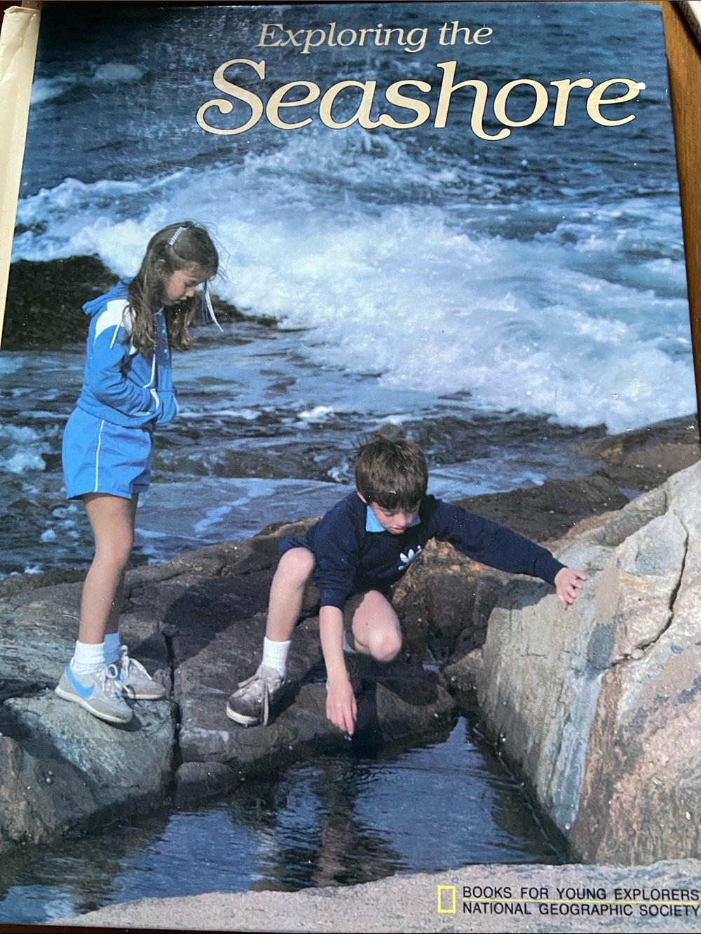Seashore book Ocean coastal sea shore BEACH wildlife NATURE tide pool animal Geo